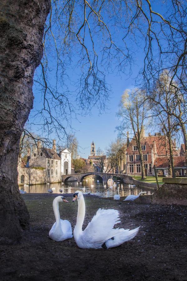 Gastenkamers Ten Huyze Marchandise Bruges Exterior photo